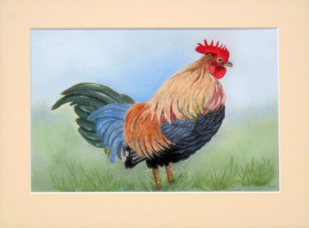 Filipijnse Rooster